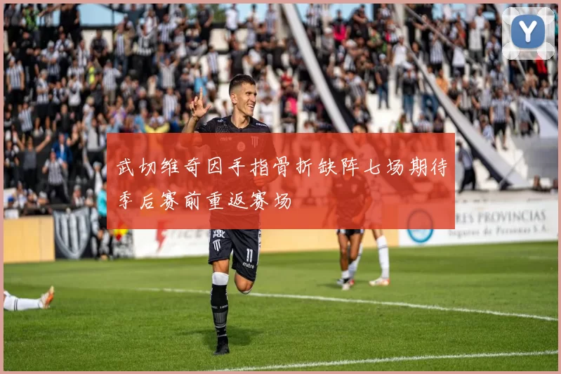 武切维奇因手指骨折缺阵七场期待季后赛前重返赛场